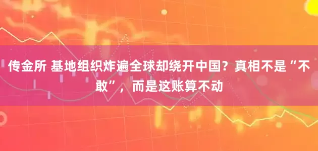 传金所 基地组织炸遍全球却绕开中国？真相不是“不敢”，而是这账算不动